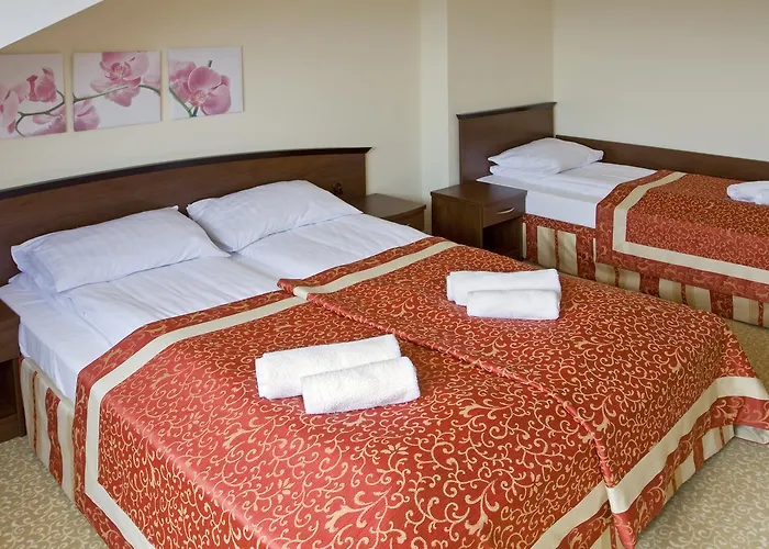 Hotel Hotel Zieleniec 3*