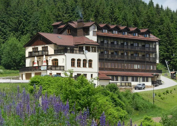 Hotel Zieleniec 3*